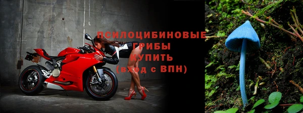 гидропоника Абаза